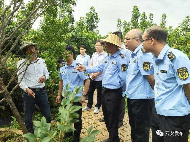 高精度數(shù)字示波器采樣率如何影響信號(hào)波形測(cè)量精度