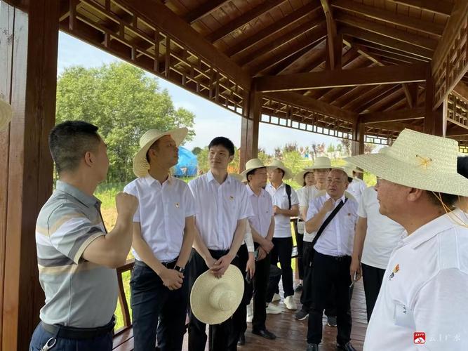 如何通過手持數(shù)字示波器分析電路中的信號波形