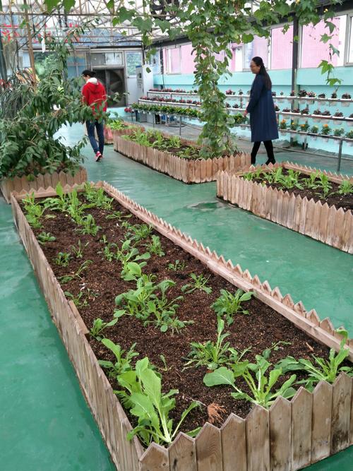 高精度數(shù)字示波器在電路分析中的不可替代性