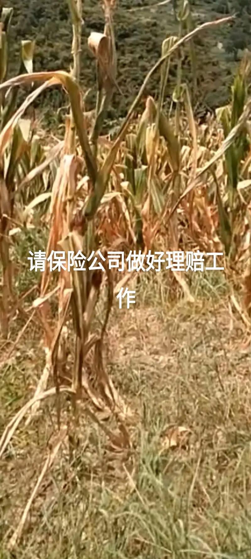 手持?jǐn)?shù)字示波器電池壽命延長的實(shí)用技巧