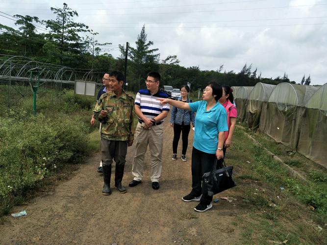 利用手持數(shù)字示波器進行信號干擾源定位與分析