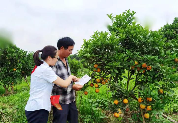 如何通過(guò)任意波形信號(hào)發(fā)生器增強(qiáng)測(cè)試精度和可靠性