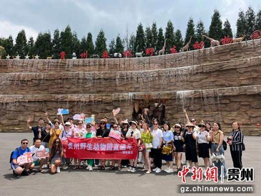 多種波形輸出方式在任意波形信號發(fā)生器中的重要性