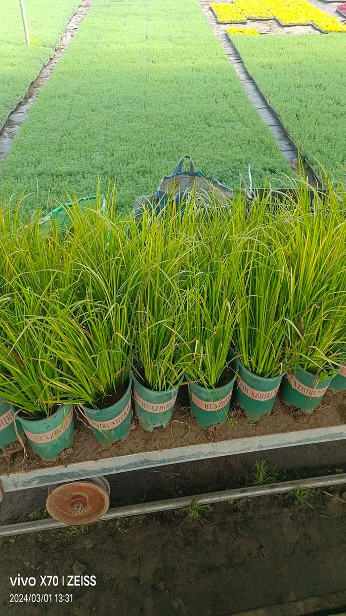 基于任意波形信號發(fā)生器的信號調(diào)制技術(shù)