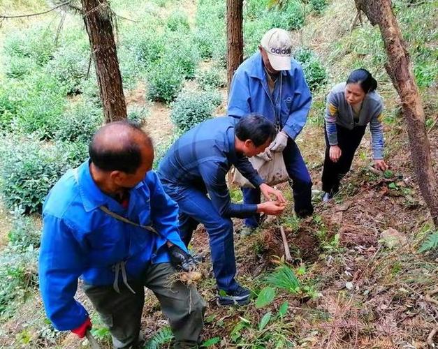 高精度數(shù)字示波器對通信波形分析的貢獻