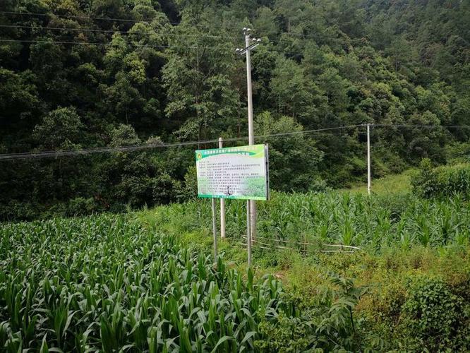 提高手持?jǐn)?shù)字示波器測量精度的技巧與方法