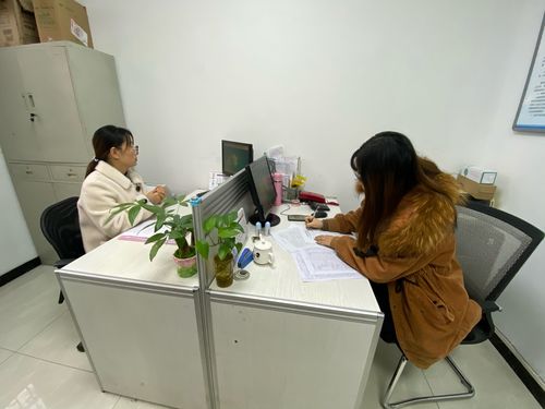 提升高精度數(shù)字示波器測(cè)量精度的采樣率優(yōu)化策略