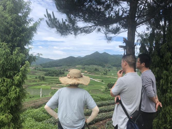 如何用任意波形信號(hào)發(fā)生器與數(shù)字示波器進(jìn)行精確信號(hào)測(cè)試