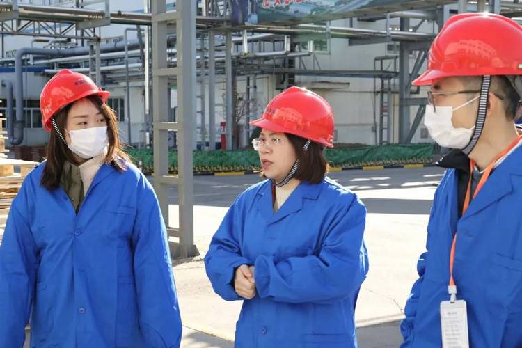 數(shù)字萬用表在電氣安全檢查中的重要性和步驟