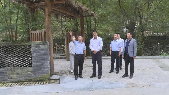 DSA譜分析儀在頻譜優(yōu)化中的應用技巧