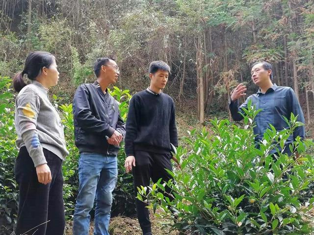 DSA譜分析儀如何實現(xiàn)精準測量與數(shù)據(jù)分析
